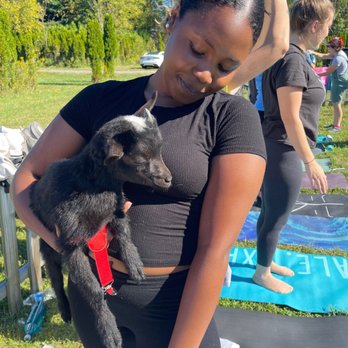 Horse and Goat Yoga - Meet Zippity - Yoga Near Me - Maple Glen, Pennsylvania Horse and Goat Yoga - Meet Zippity - Yoga Near Me - Maple Glen, Pennsylvania