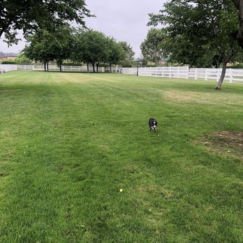 Redhawk Dog Park - Small dog area is huge! - Dog Parks Near Me