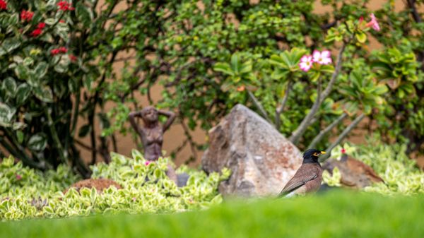 Keawakapu Beach by null