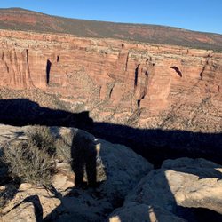 Wild Expeditions