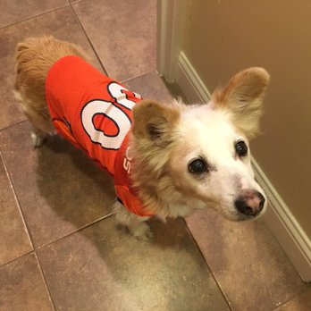 muddy paws bathhouse