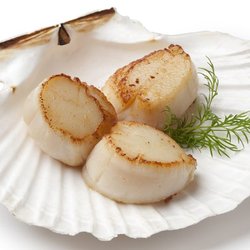 Smoked Wild Sea scallops