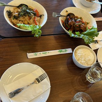 Khaosan Thai - Catfish and pad kee mao - Thai Near Me - San Jose, California