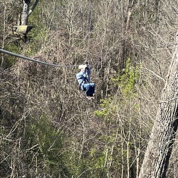 Screaming Eagle Aerial Adventures - Ziplining Near Me - Alexander City, Alabama Screaming Eagle Aerial Adventures - Ziplining Near Me - Alexander City, Alabama
