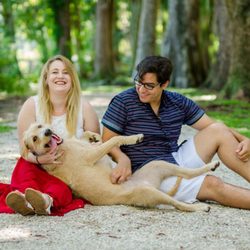 Gorgeous Moments Photography