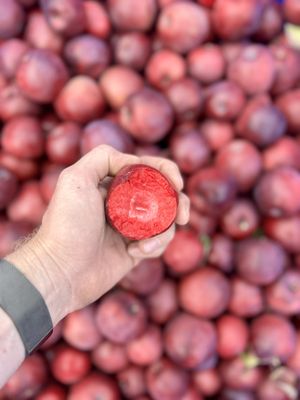 Two K Farms Cidery & Winery by null