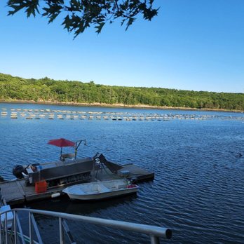 Eros Oyster - Farms Near Me - MacMahan, Maine Eros Oyster - Farms Near Me - MacMahan, Maine