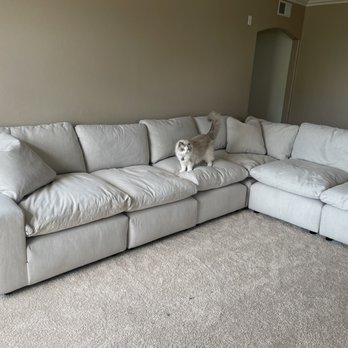 Furniture On Consignment - Kitty approved. - Furniture Stores Near Me - Albuquerque, New Mexico