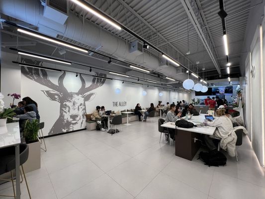 The Alley Fairfax by null