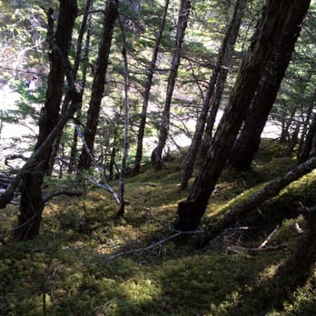 Upper Reid - Hiking Near Me