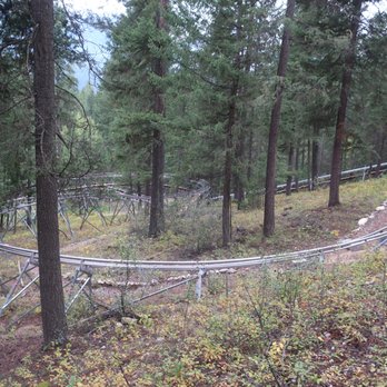 Golden Skybridge - The cool and fun looking Railrider Mountain Coaster. - Hiking Near Me - Golden, British Columbia Golden Skybridge - The cool and fun looking Railrider Mountain Coaster. - Hiking Near Me - Golden, British Columbia