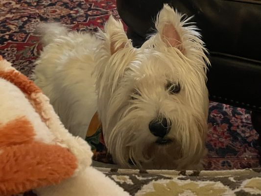 Total Wine & More by null