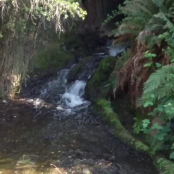 Regional Parks Botanic Garden at Tilden - Botanical Gardens Near Me - Berkeley, California
