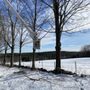 Photo of Aquadro Farm