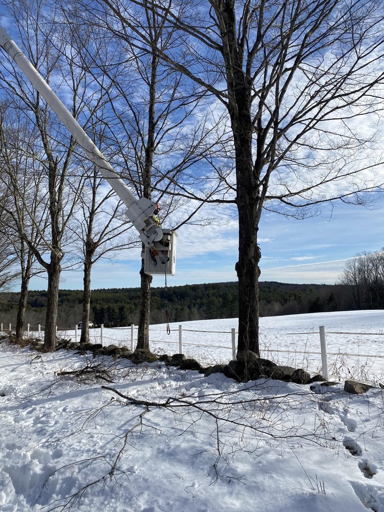 Aquadro Farm - tree service in Hatfield, MA