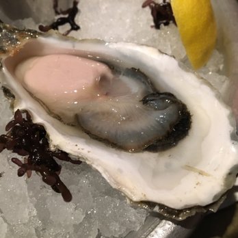 Herringbone Waikiki - Close up. Barron Pt oyster - Seafood Near Me - Honolulu, Hawaii Herringbone Waikiki - Close up. Barron Pt oyster - Seafood Near Me - Honolulu, Hawaii