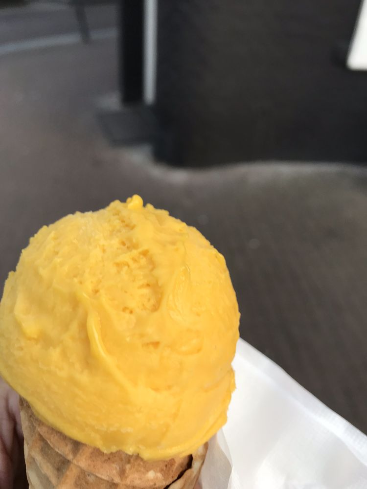 IJssalon NoorderPrins