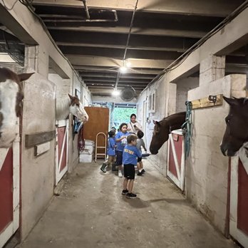 Showclass Stables - Horseback Riding Near Me - Davie, Florida Showclass Stables - Horseback Riding Near Me - Davie, Florida