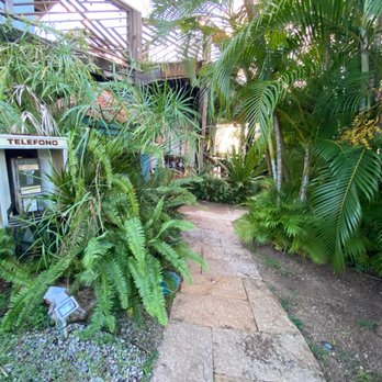 Blue Horizon Boutique Resort - Hotels Near Me - Vieques, Puerto Rico Blue Horizon Boutique Resort - Hotels Near Me - Vieques, Puerto Rico