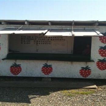 Saevang Strawberry Farm - picture of stand - Farmers Market Near Me - Lockeford, California Saevang Strawberry Farm - picture of stand - Farmers Market Near Me - Lockeford, California