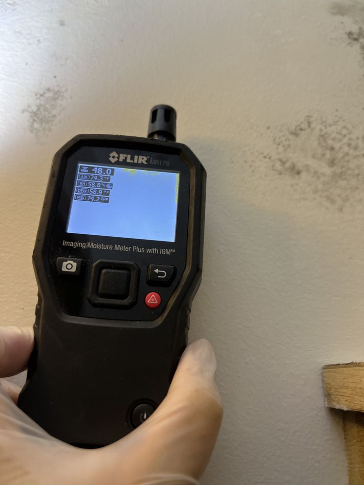 BNF Consulting - mold inspector in Lincolndale, NY