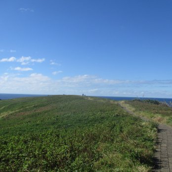 Muttonbird Island Nature Reserve - Top of the hill - Parks Near Me - Coffs Harbour, NSW