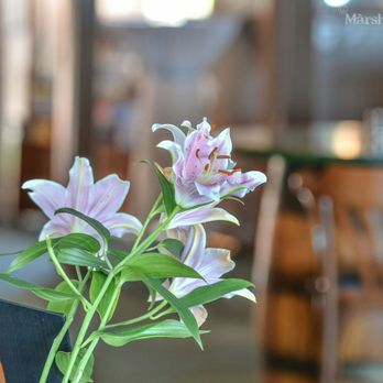 Tranquil Park Maleny - Venues & Event Spaces Near Me - Maleny, QLD