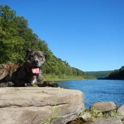 Jerry's Three River Campground