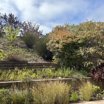 New Bloom Gardening - before - Gardeners Near Me