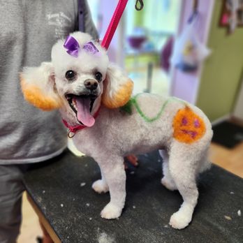Happy Hounds - Pet Groomers Near Me - Etowah, Tennessee Happy Hounds - Pet Groomers Near Me - Etowah, Tennessee