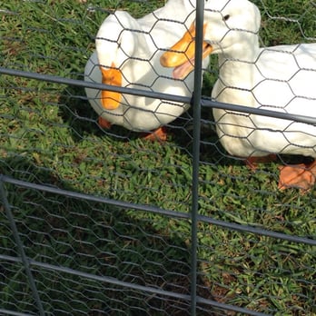 Brookdale Farm - Farmers Market Near Me - Chesapeake, Virginia