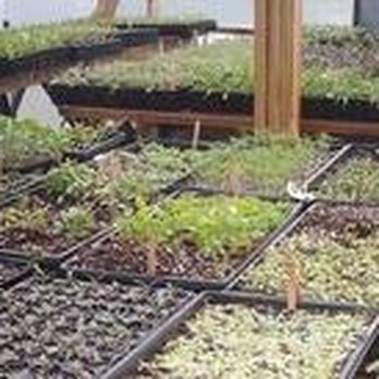 Ten Acre Garden - Pick Your Own Farms Near Me - Canton, North Carolina