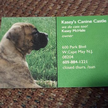 Kasey's Canine Castle - Pet Groomers Near Me - Cape May, New Jersey