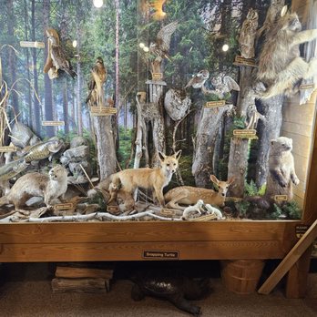 Lacroix Ranger District - Diorama - Visitor Centers Near Me - Cook, Minnesota Lacroix Ranger District - Diorama - Visitor Centers Near Me - Cook, Minnesota