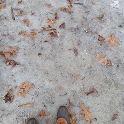 Blue Bell Park - As with anywhere in the winter, wear some sturdy shoes. It's icy out here!