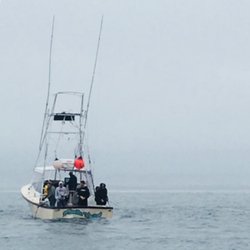 Boston Fish Tales | Sports Fishing Charters