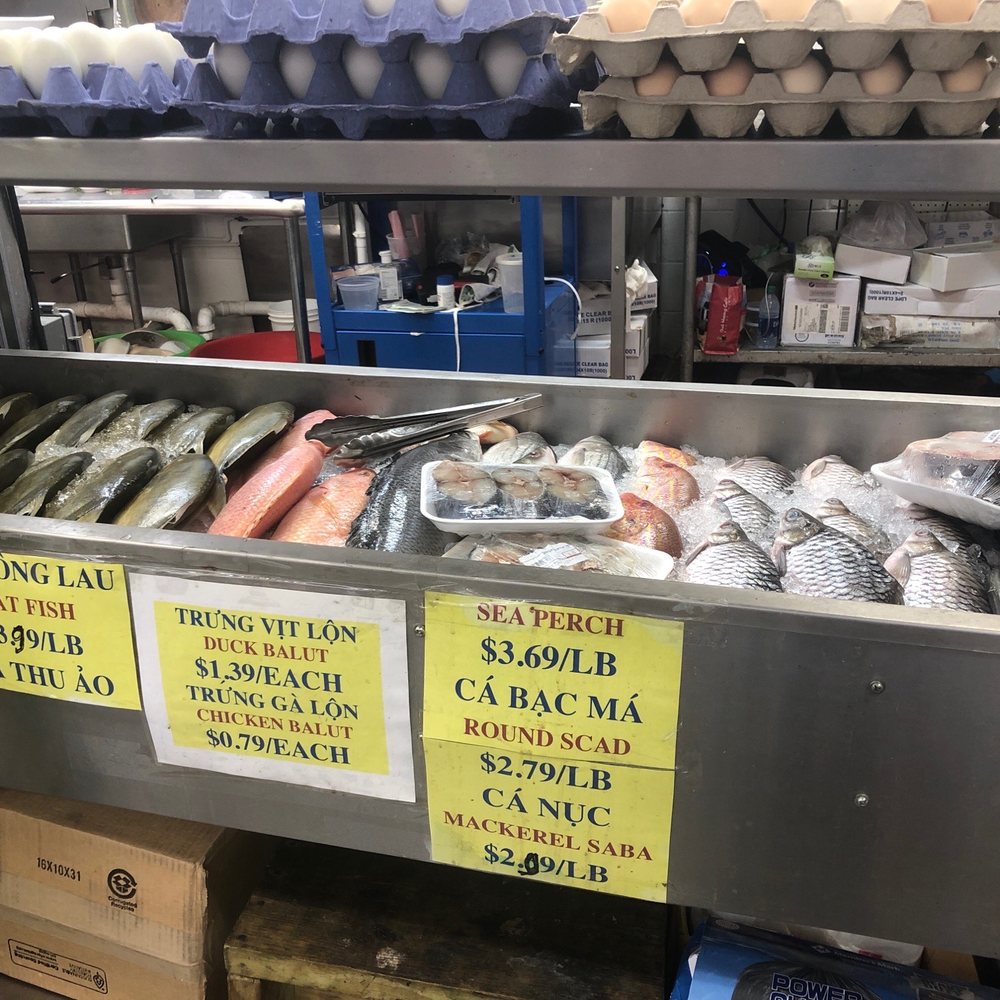 Saigon Marketplace - a display of fresh fish for sale - International Grocery Near Me - Tampa, Florida Saigon Marketplace - a display of fresh fish for sale - International Grocery Near Me - Tampa, Florida