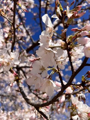 Riverfront Park by null