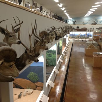 Bryce Wildlife Adventure - Some of the awesome collection! - ATV Rentals/Tours Near Me - Bryce, Utah Bryce Wildlife Adventure - Some of the awesome collection! - ATV Rentals/Tours Near Me - Bryce, Utah