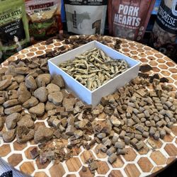 Kahoots Pet Store - Bark-cuterie for their 7th birthday party.