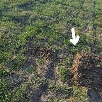 Gretna Fencing - dirt piles on the neighbor's side - Fences & Gates Near Me Gretna Fencing - dirt piles on the neighbor's side - Fences & Gates Near Me