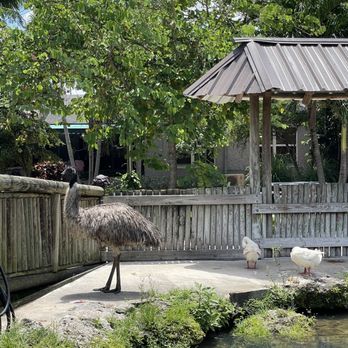 Everglades Alligator Farm - Zoos Near Me - Homestead, Florida Everglades Alligator Farm - Zoos Near Me - Homestead, Florida