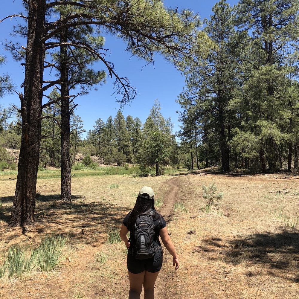 Blue Ridge Cave Trail - Hiking Near Me - Lakeside, Arizona Blue Ridge Cave Trail - Hiking Near Me - Lakeside, Arizona