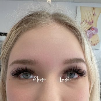 Moose Lash Beauty - Eyelash Service Near Me - Winter Park, Florida Moose Lash Beauty - Eyelash Service Near Me - Winter Park, Florida