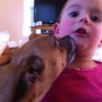 Banfield Pet Hospital - My dog that died - Veterinarians Near Me - Folsom, California Banfield Pet Hospital - My dog that died - Veterinarians Near Me - Folsom, California