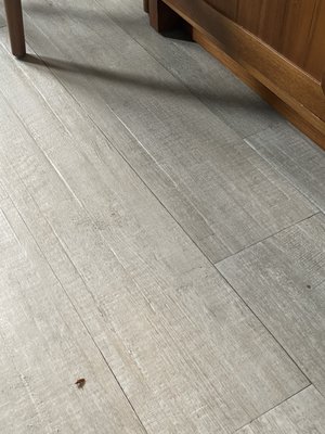 KAYAK Miami Beach by null