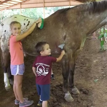 Valley Mount Ranch - Summer Camp fun ! - Horse Boarding Near Me - Fenton, Missouri