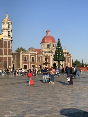 Basilica of Our Lady of Guadalupe by null