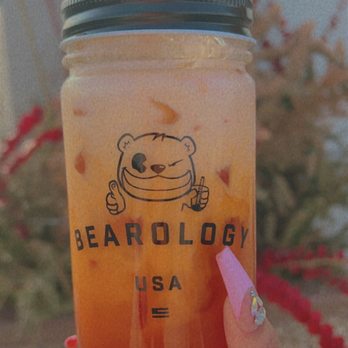 Bearology - Thai Tea - Bubble Tea Near Me - Schaumburg, Illinois Bearology - Thai Tea - Bubble Tea Near Me - Schaumburg, Illinois