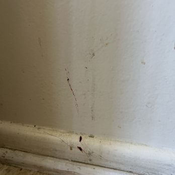 Natalie’s Cleaning - All the walls and floors, still disgusting - Home Cleaning Near Me - Los Angeles, California Natalie’s Cleaning - All the walls and floors, still disgusting - Home Cleaning Near Me - Los Angeles, California